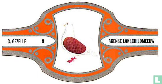 Akense Lakschildmeeuw - Afbeelding 1