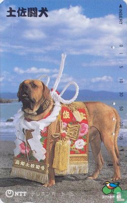 Decorated Dog - Fighting dog - Image 1