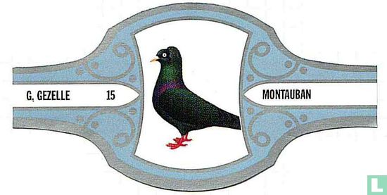 Montauban  - Bild 1