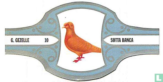 Sotta Banca  - Afbeelding 1
