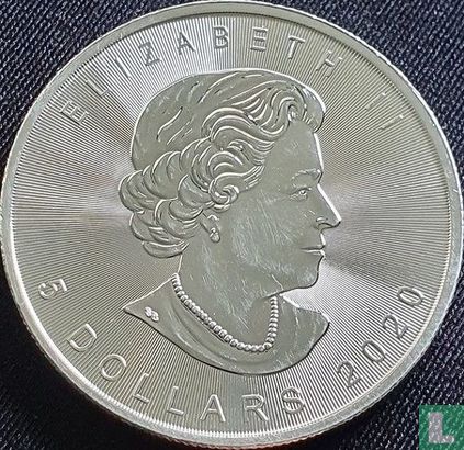 Canada 5 dollars 2020 (silver - with mint mark) - Image 1