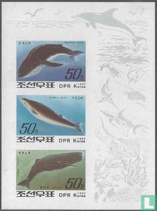 Walvissen en dolfijnen