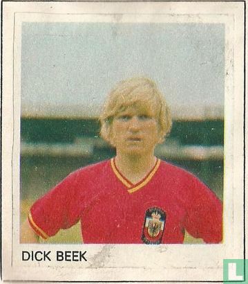 Dick Beek