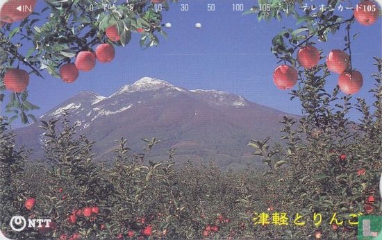Tsugaru and Apples - Afbeelding 1