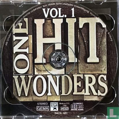 One Hit Wonders - Image 3