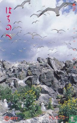 Seagulls - Afbeelding 1