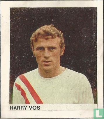 Harry Vos