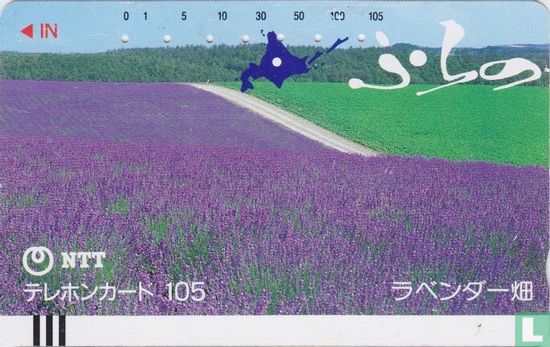 Lavender Field - Afbeelding 1