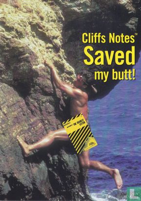 Cliffs Notes "Saved my butt!" - Afbeelding 1