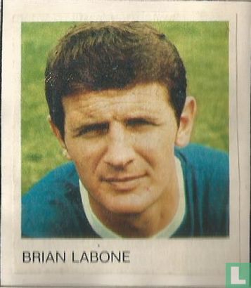 Brian Labone