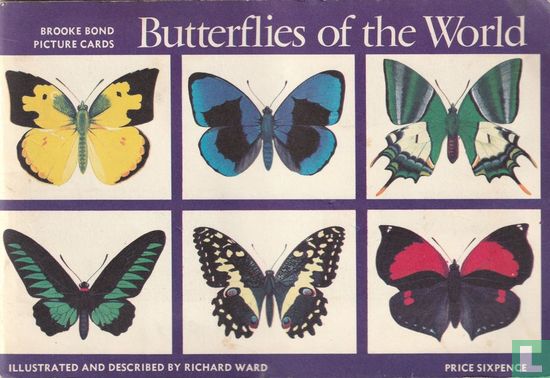 Butterflies of the world - Afbeelding 1