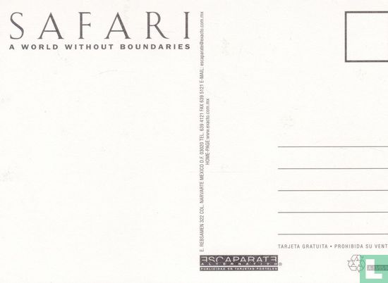 Ralph Lauren - Safari - Afbeelding 2