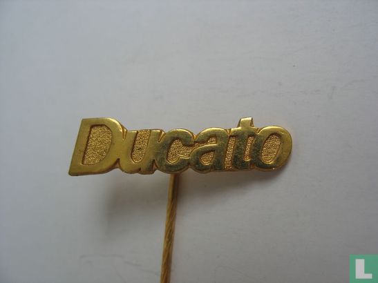 Ducato [ Fiat } - Afbeelding 1