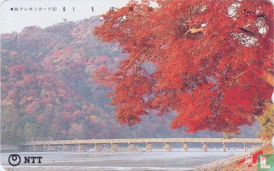 Arashiyama - Autumn Trees and River - Afbeelding 1