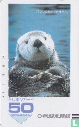 Marine Mammal - Afbeelding 1