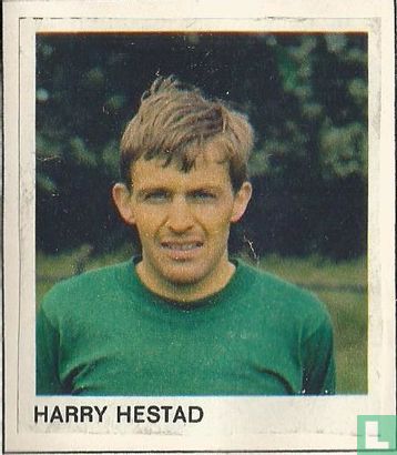 Harry Hestad