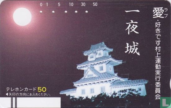 Ichiya Castle - Image 1