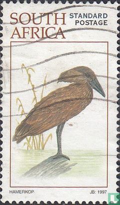 Wasservogel