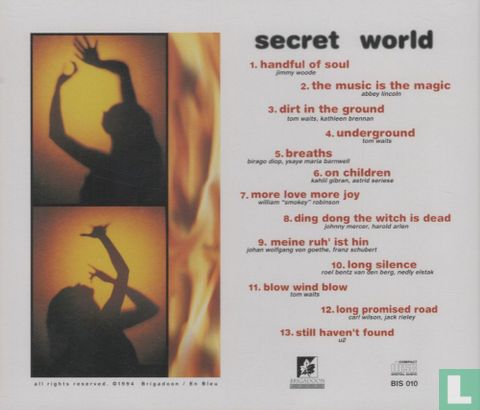 Secret World - Afbeelding 2