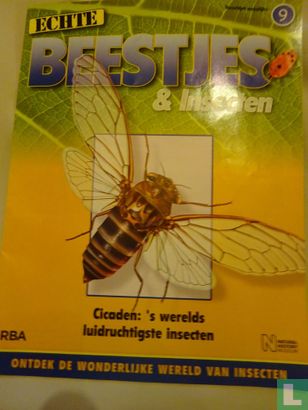 Echte beestjes & insecten 9 - Bild 1