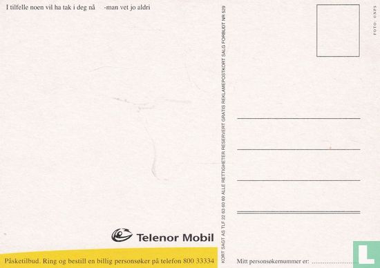 0529 - Telenor Mobil - Image 2