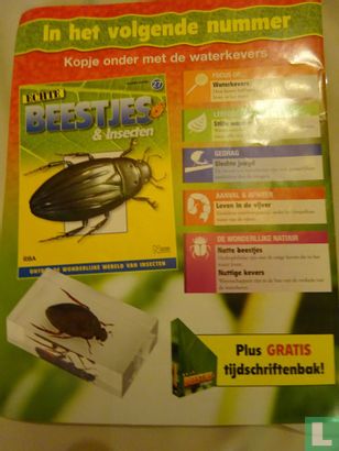 Echte beestjes & insecten 26 - Image 2