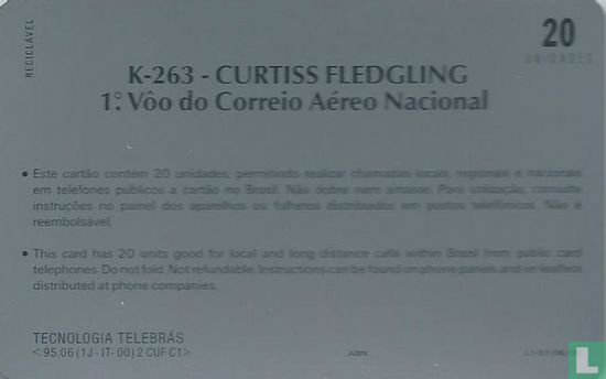 K263 - Curtiss Fledgling - Afbeelding 2