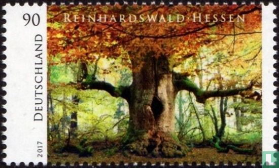 Reinhardswald Hesse