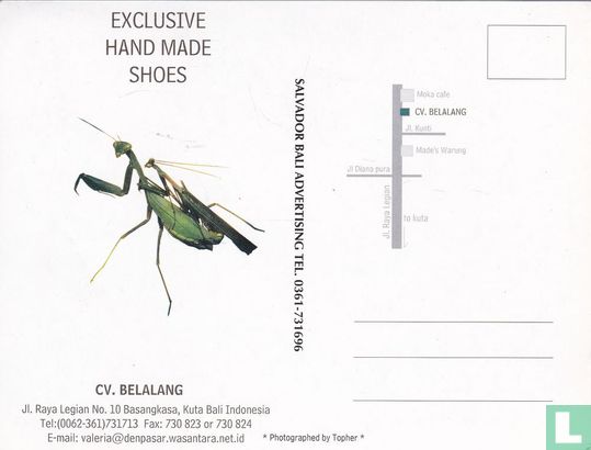Belalang Shoes - Afbeelding 2