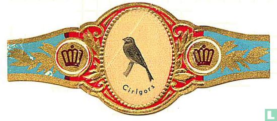 Cirlgors - Afbeelding 1