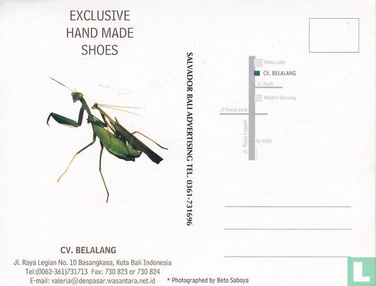 Belalang Shoes - Afbeelding 2