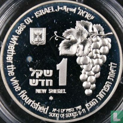Israel 1 new sheqel 1995 (JE5756) "Fox and grapes" - Image 2