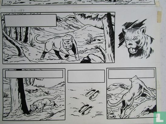 Studio Vandersteen - Bessy - Première page originale (p.1) - Les chiens d'avalanche - Gefahr im dal der Puma-Felsen - (1969) - Image 3