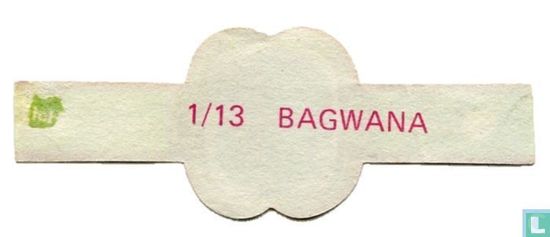 Bagwane - Bild 2