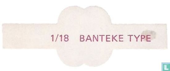 Banteke Type - Afbeelding 2