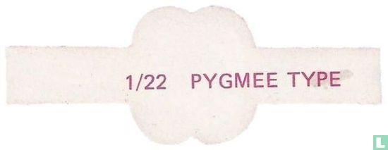 [Pygmy type]  - Image 2