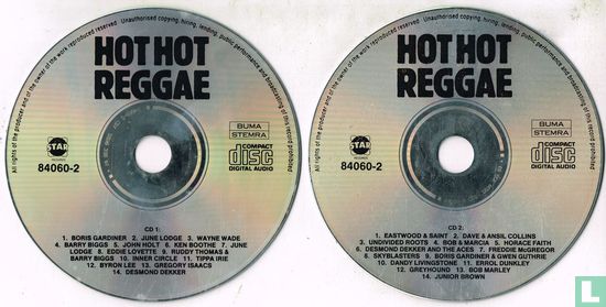 Hot Hot Reggae - Afbeelding 3