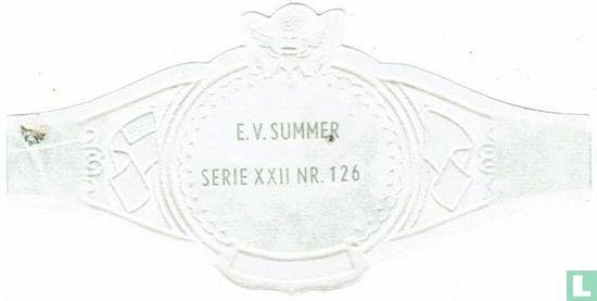 E.V. Summer - Image 2