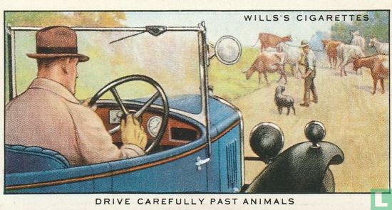 Drive carefully past animals - Image 1