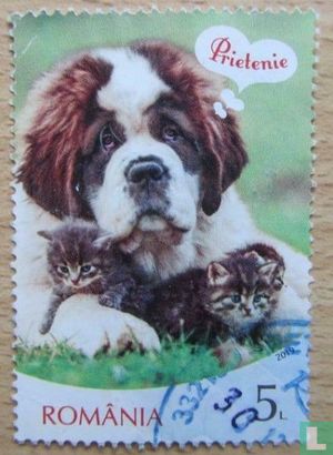 Chiens et chats