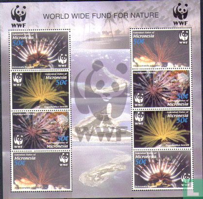 WWF Coral