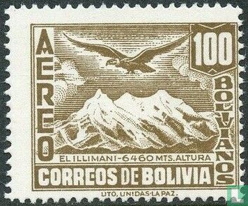 Condor over Illimani