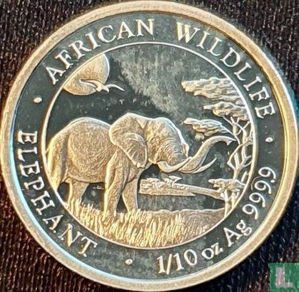 Somalië 10 shillings 2019 "Elephant" - Afbeelding 2