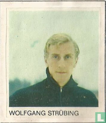 Wolfgang Strübing