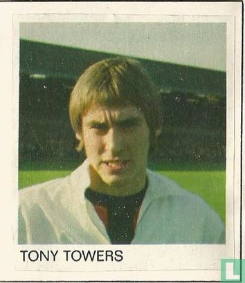 Tony Towers