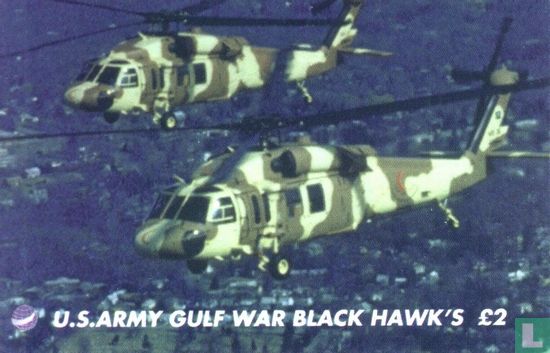 U.S. Army Gulf War Black Hawk's - Afbeelding 1