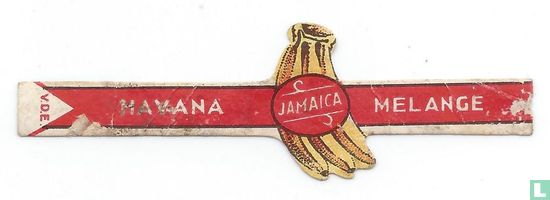Jamaica - Havana - Melange - Afbeelding 1
