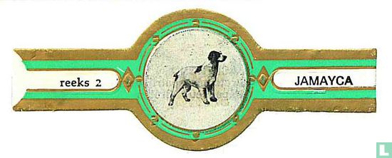 Breton patent dog  - Image 1