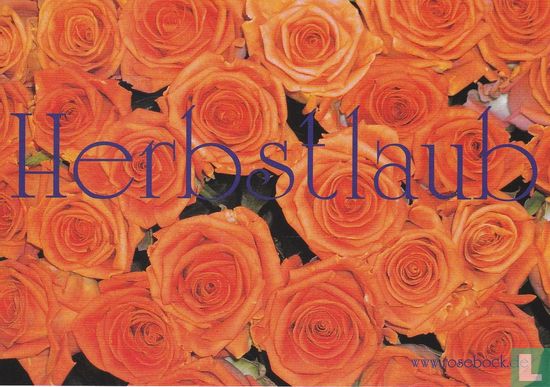 0373 - Rose Bock "Herbstlaub" - Afbeelding 1