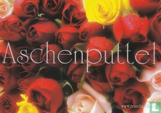 0384 - Rose Bock "Aschenputtel" - Afbeelding 1